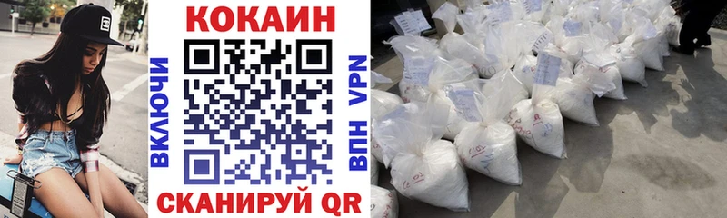 COCAIN Fish Scale  Зима 