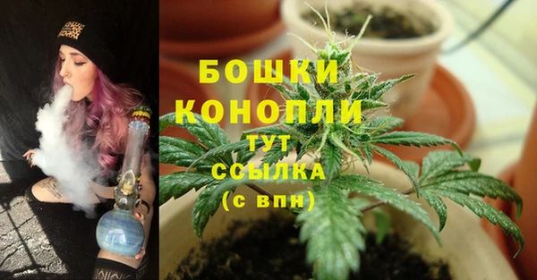 дмт Осинники