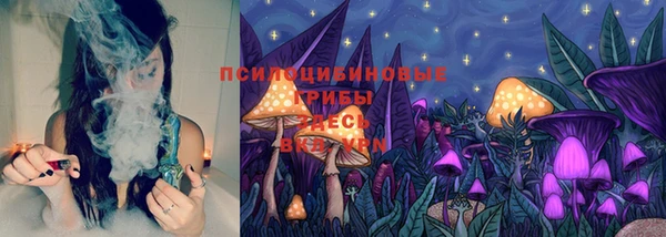 дмт Осинники