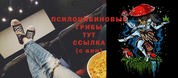 дмт Осинники