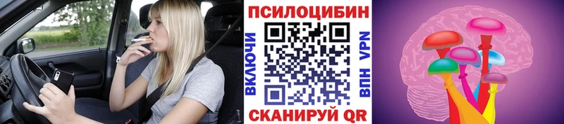 Псилоцибиновые грибы прущие грибы  Зима 